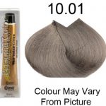 Personal Color 10.01 - Ash Natural Platinum Blond 100ml - Personal Colour (Cosmo service). Personal Color 10.