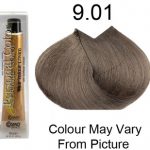 Personal Color 9.01 - Ash Natural Very Light Blond 100ml - Personal Colour (Cosmo service). Personal Color 9.